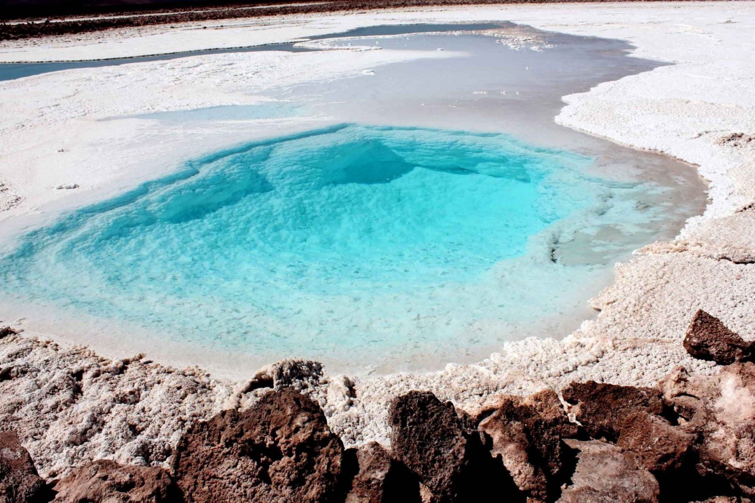 San Pedro de Atacama: Pływaj w ukrytych lagunach Baltinache