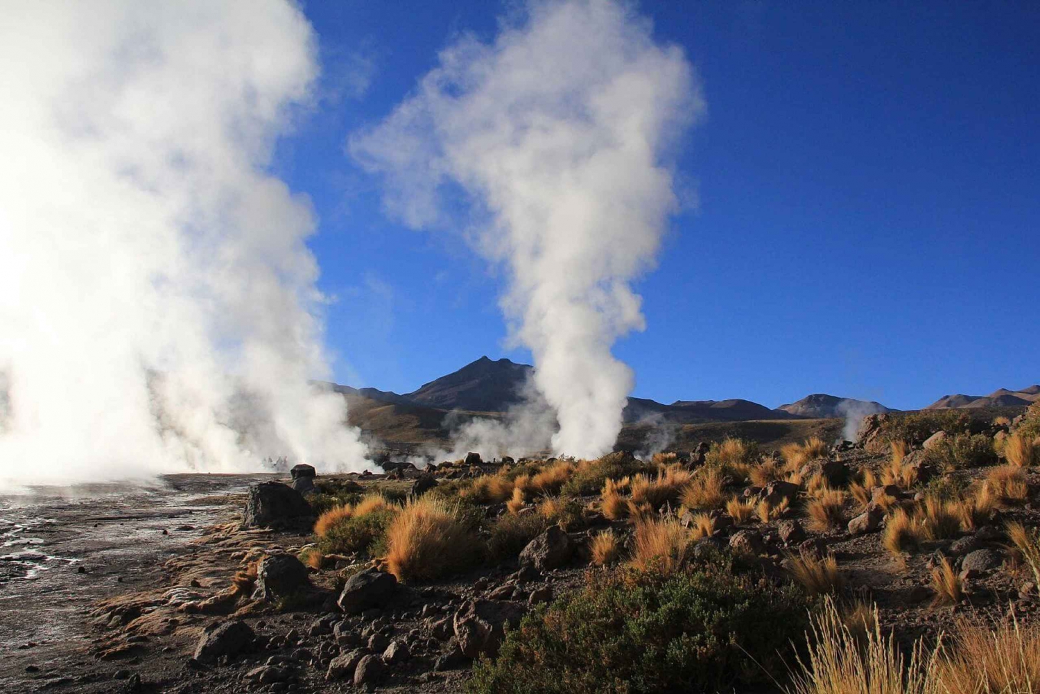 San Pedro de Atacama: Tatio Geysir ja Machuca Tour