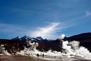 San Pedro de Atacama: Excursión Geisers el Tatio