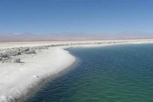 San Pedro de Atacama: Tour zu den Lagunen des Salar de Atacama