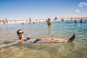 San Pedro de Atacama: Tour zu den Lagunen des Salar de Atacama