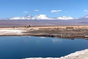 San Pedro de Atacama: Tour zu den Lagunen des Salar de Atacama