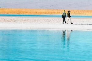 San Pedro de Atacama: Tour zu den Lagunen des Salar de Atacama