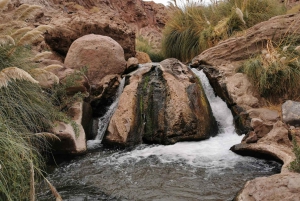 San Pedro de Atacama : Trekking aux sources d'eau chaude naturelles de Purilibre
