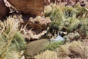 San Pedro de Atacama: Vandring i Purilibres naturliga varma källor