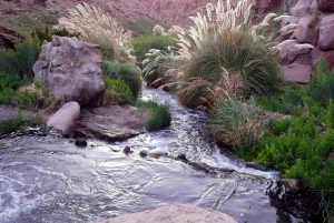 San Pedro de Atacama: Trektocht Purilibre Natuurlijke Warmwaterbronnen