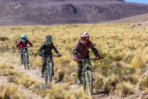 Сан-Педро-де-Атакама: велосипедный тур по вулкану