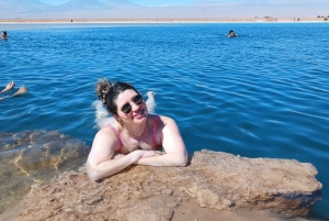 San Pedro do Atacama : Laguna Cejar et Ojos del Salar
