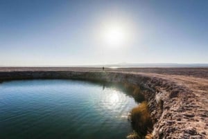 San Pedro do Atacama: Laguna Cejar og Ojos del Salar