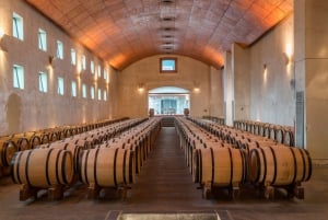 San Pedro Winery