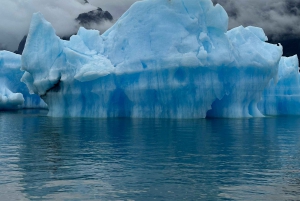 San Rafael Lagoon: full day tour from Puerto Río Tranquilo