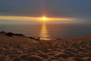 Hiekkalautailu ja auringonlasku Conconin hiekkadyyneillä