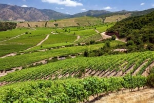 Santa Cruz - Premium Colchagua Valley wine day