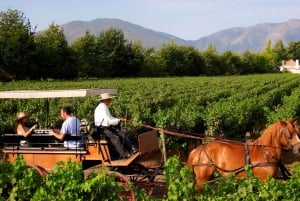 Santa Cruz - Premium Colchagua Valley wine day