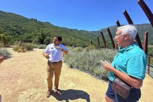 Santa Cruz - Premium Colchagua Valley wine day