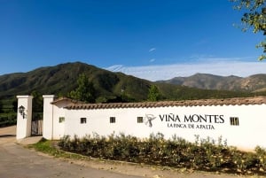 Santa Cruz - Premium Colchagua Valley wine day