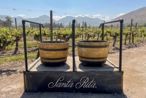 Santa Rita Classic Vineyard Tour