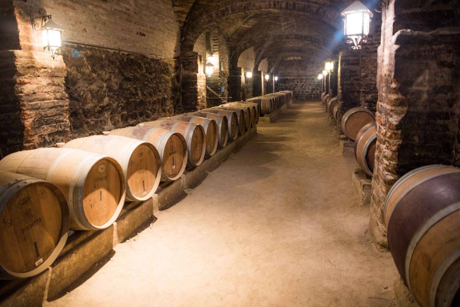 Santa Rita: Omvisning + Premium vinsmaking + privat transport