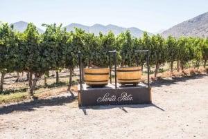 Santa Rita: Omvisning + Premium vinsmaking + privat transport
