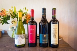 Santa Rita: Omvisning + Premium vinsmaking + privat transport