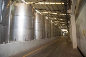 Santa Rita: Omvisning + Premium vinsmaking + privat transport