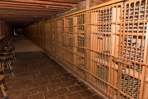 Santa Rita: Omvisning + Premium vinsmaking + privat transport