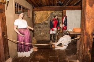 Santa Rita: Omvisning + Premium vinsmaking + privat transport