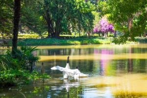 Santa Rita: Omvisning + Premium vinsmaking + privat transport