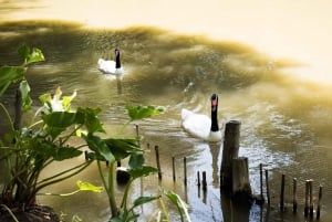 Santa Rita: Omvisning + Premium vinsmaking + privat transport