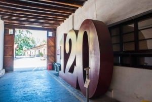 Santa Rita: Omvisning + Premium vinsmaking + privat transport