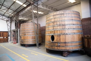 Santa Rita: Omvisning + Premium vinsmaking + privat transport