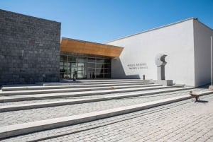 Santa Rita: Omvisning + Premium vinsmaking + privat transport