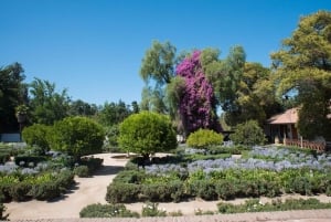 Santa Rita: Omvisning + Premium vinsmaking + privat transport