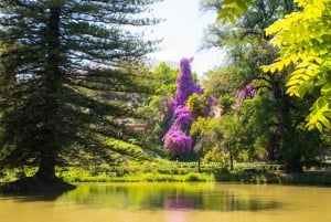 Santa Rita: Omvisning + Premium vinsmaking + privat transport