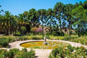 Santa Rita: Omvisning + Premium vinsmaking + privat transport