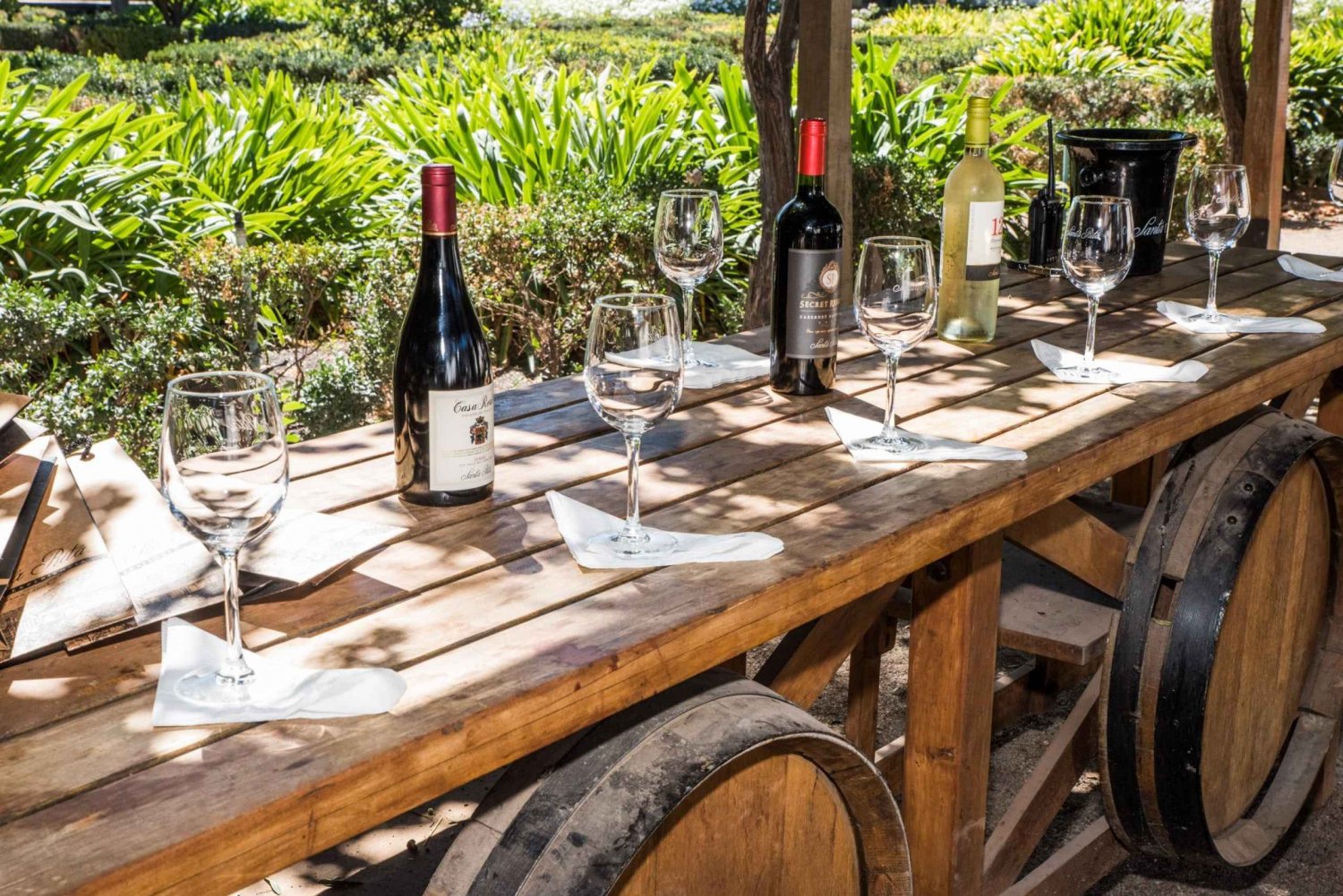 Santa Rita: Ultra Premium Wine Tasting, Tour and Transport