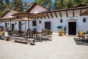 Santa Rita: Degustação de vinhos ultra premium, passeio e transporte