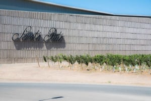 Santa Rita: Ultra Premium vinsmaking, omvisning og transport