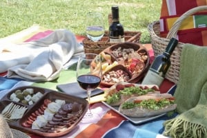 Tour del vigneto di Santa Rita: Storia, vino e picnic all'aperto