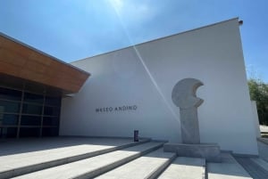 Tour del vigneto di Santa Rita: Storia, vino e picnic all'aperto