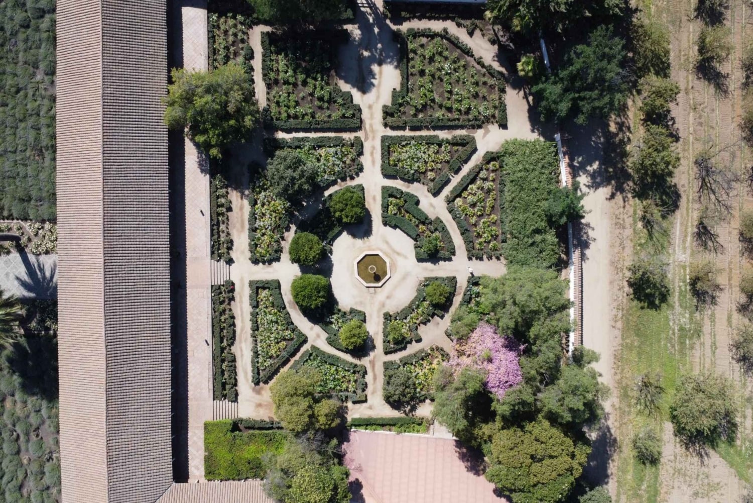 Santa Rita Vineyard Tour med lunsj, en uforglemmelig dag!