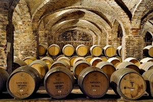 Santa Rita Vineyard Tour med lunsj, en uforglemmelig dag!