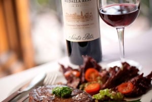 Santa Rita Vineyard Tour med lunsj, en uforglemmelig dag!