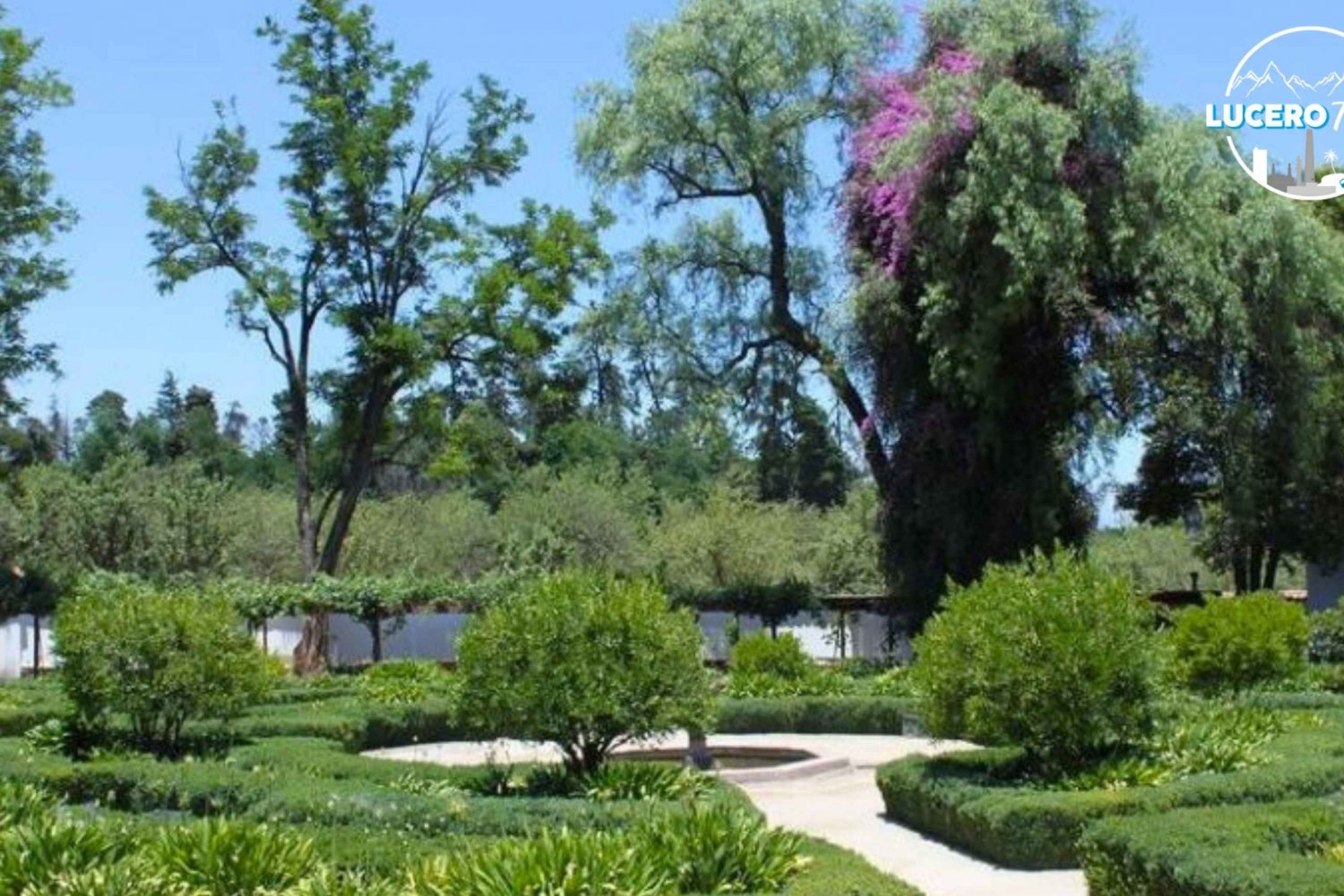 Vigneto Santa rita
