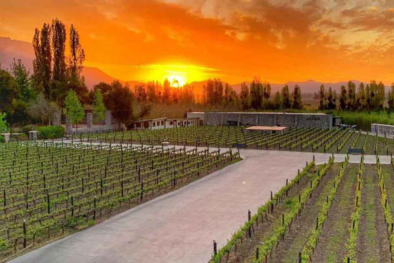 Santiago: Alyan Sunset Tour with Wine Tastings and Dinner