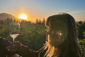 Santiago: Alyan Winery Sunset with Wine Tastings and Dinner