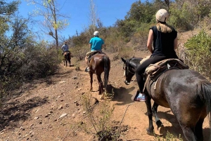 Santiago: Andes Horseback Ride with Wine Tour and Tasting