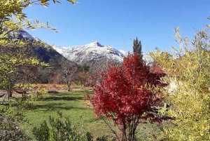 Santiago: Andes Horseback Ride with Wine Tour and Tasting