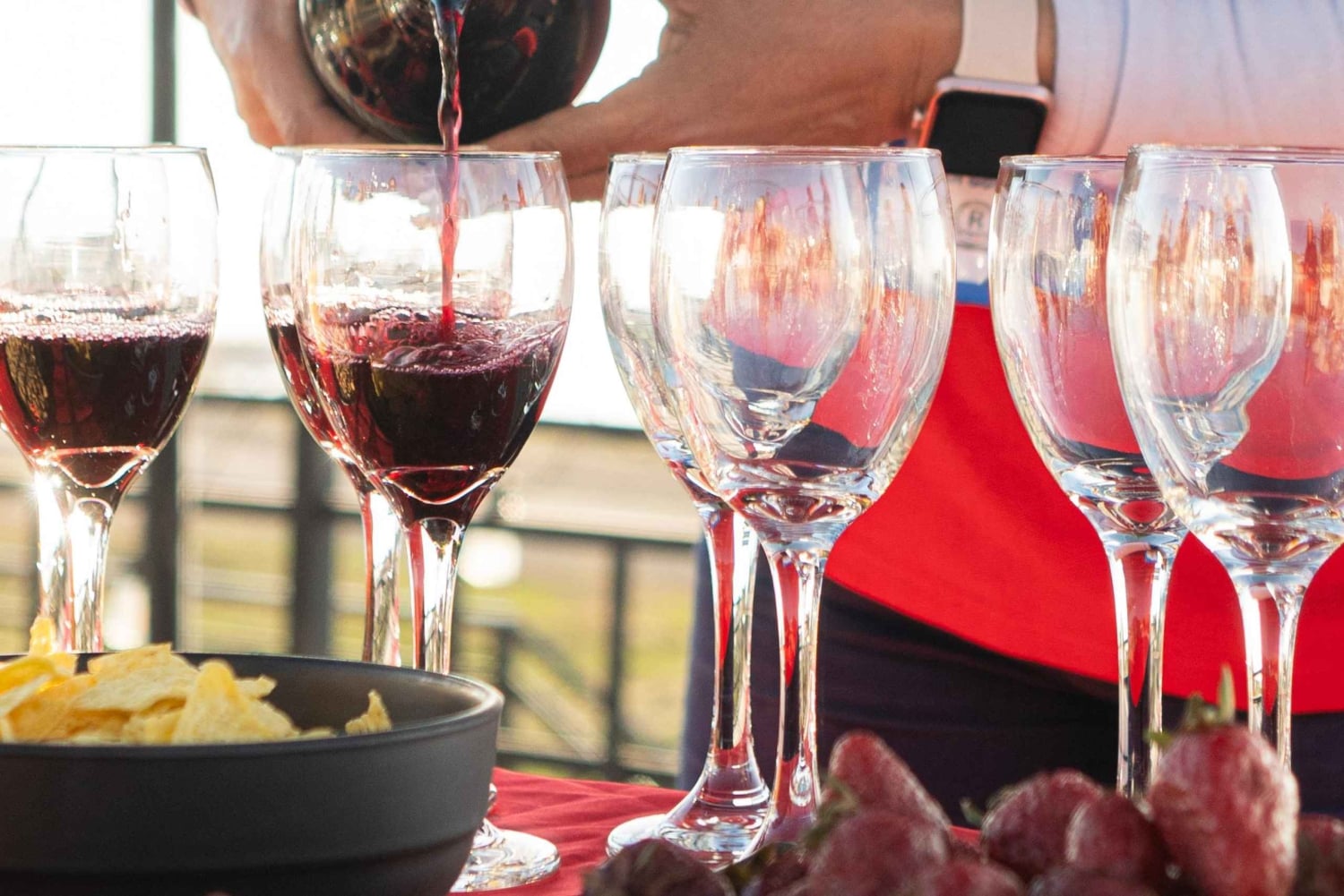 Santiago: Andes Mountains Sunset and Valle Nevado & Picnic