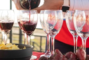 Santiago: Andes Mountains Sunset and Valle Nevado & Picnic